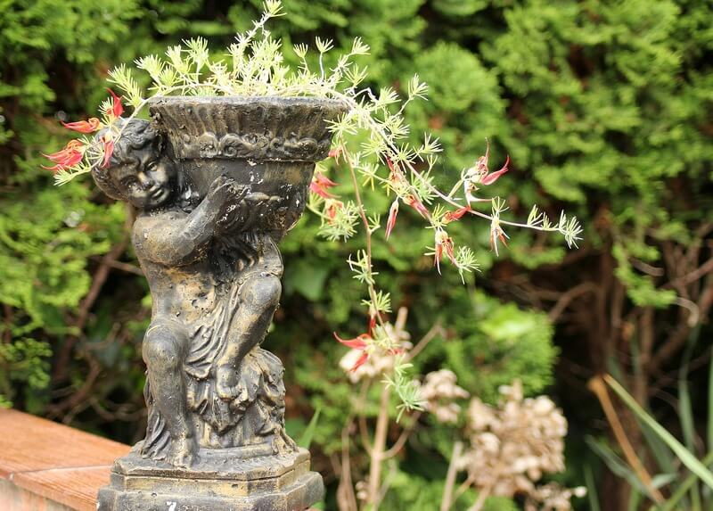 Jak zorganizować donicę na zioła w kuchni, na balkonie czy w ogrodzie?