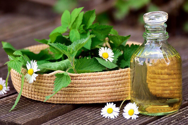 Jak zrobić sok z pokrzywy – sprawdź prosty przepis bez wyciskarki