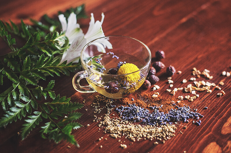 Ekstrakt z buzdyganka ziemnego – czy suplement diety z Tribulus terrestris jest dla Ciebie?