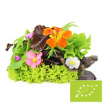 Mix sałat świeży niemyty BIO – około 0,10 kg