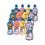 ZESTAW 12 x Napój owocowo- herbaciany BIO 330 ml Psi Patrol - PURE&FUN