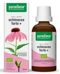 Echinacea forte (jeżówka purpurowa) krople suplement diety  bio 50 ml