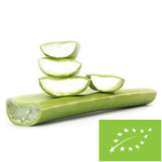 Aloes świeży liście BIO – 1 kg