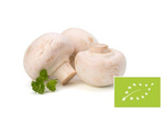 Pieczarka biała BIO (opakowanie zbiorcze kg) – 250 g