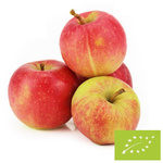 Jabłka na sok świeże bio Polska - około 5 kg
