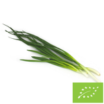 Szczypiorek BIO (Polska) – około 0,12 kg