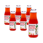 ZESTAW 6 x Sok z brzozy z dziką różą bio 1 l