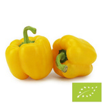 Papryka żółta świeża bio (około 0,35 kg)