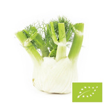 Koper włoski świeży (fenkuł) BIO – około 0,35 kg