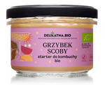 Grzybek scoby starter do kombuchy BIO 150 g - Delikatna