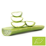 Aloes świeży liście BIO – około 0,50 kg