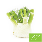 Koper włoski świeży (fenkuł) BIO – około 5 kg