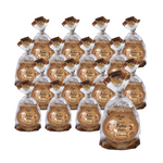 ZESTAW 16 x Ciasteczka babci ani owsiane bez cukru 100 g