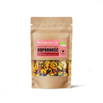 Owocowe dodatki do musli i deserów odporność BIO 20 g – Dary Natury