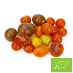 Pomidory koktajlowe mix świeże BIO (około 0,25 kg) – Bio Planet