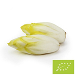 Cykoria Świeża Bio 5 kg