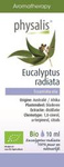 Olejek eteryczny eukaliptus australijski (eucalyptus radiata) bio 10 ml