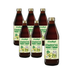 ZESTAW 6 x Kombucha limonka-imbir BIO 330 ml