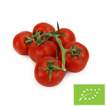 Pomidory na gałązce świeże BIO - około 5 kg