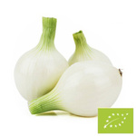 Cebula biała cukrowa świeża BIO (Polska) (opakowanie zbiorcze kg)– około 5 kg